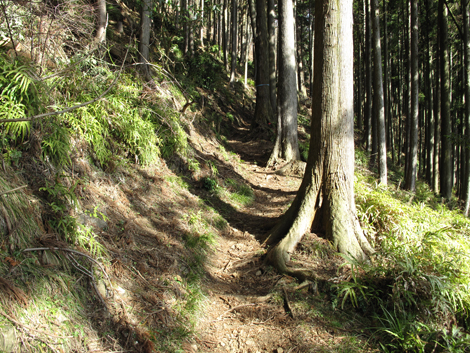 20160121hike (71)